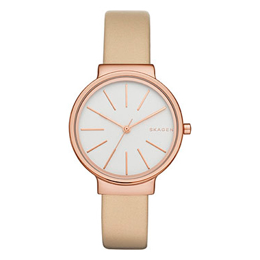SKAGEN SKW 2481