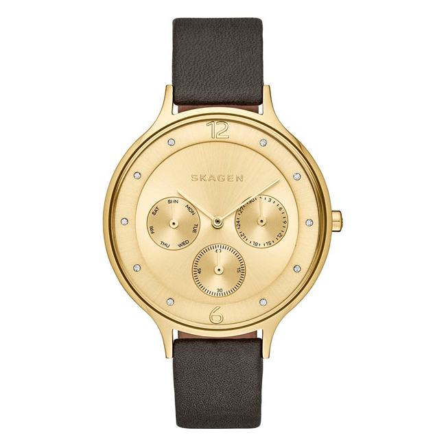 SKAGEN SKW 2393