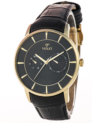 Violet 0316 G 9.1.2