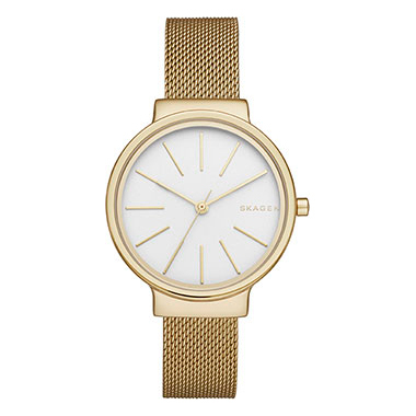 SKAGEN SKW 2477